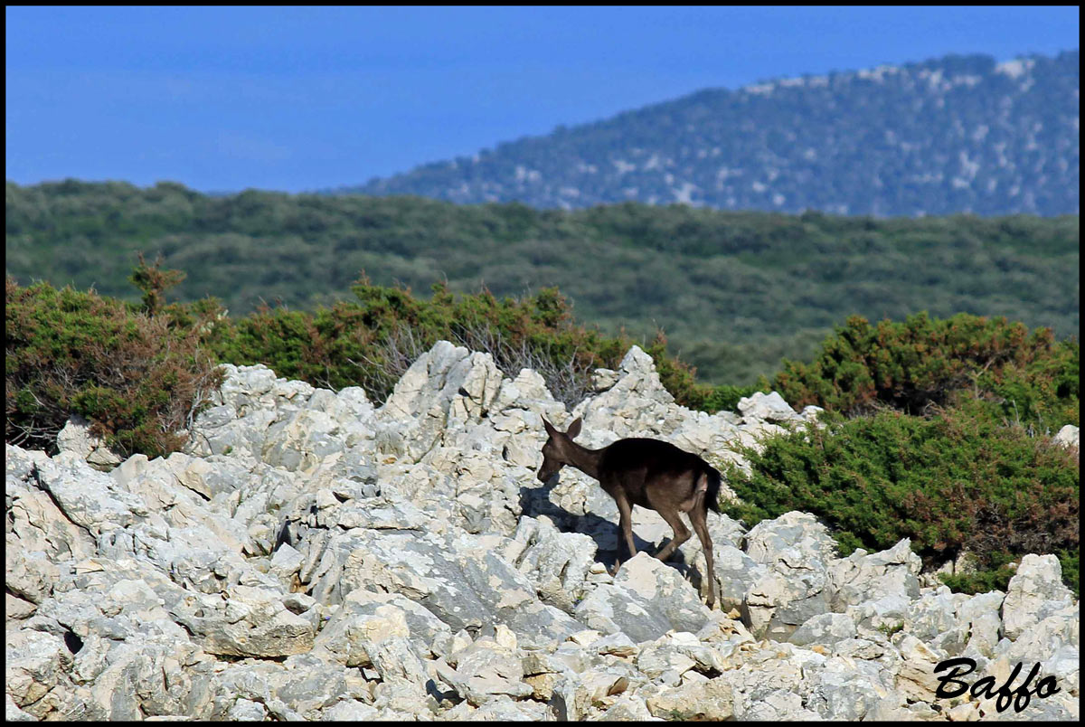 A pranzo sul mare